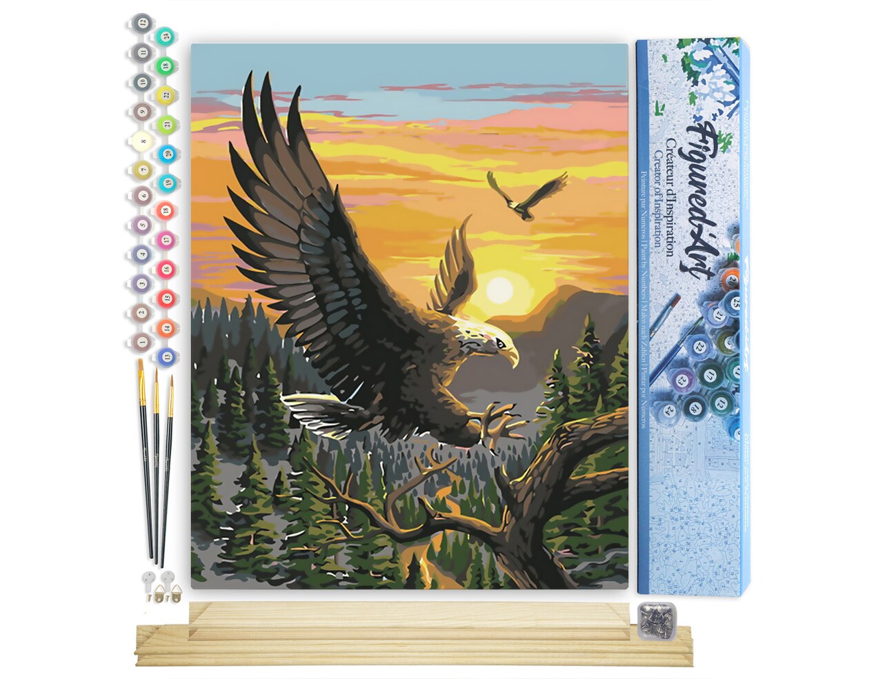 Figured'Art Paint by Numbers Kit for Adults Eagle at Sunrise 16"x20" - Craft Art Painting Rolled Canvas with DIY wooden frame
